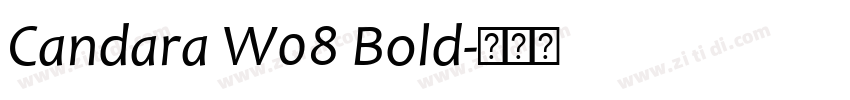Candara W08 Bold字体转换